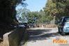 Vibonati_2014_078_Senatore.jpg