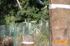 Vibonati_2014_088_Senatore.jpg