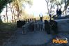 Filename=Vibonati_2015_52_Del_Vicario.jpg
Filesize=684KB
Dimensions=1024x682
Date added=Jan 25, 2015 Vibonati_2015_52_Del_Vicario.jpg