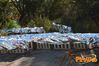 Filename=Vibonati_2015_57_Del_Vicario.jpg
Filesize=718KB
Dimensions=1024x682
Date added=Jan 25, 2015 Vibonati_2015_57_Del_Vicario.jpg
