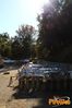 Filename=Vibonati_2015_61_Del_Vicario.jpg
Filesize=580KB
Dimensions=682x1024
Date added=Jan 25, 2015 Vibonati_2015_61_Del_Vicario.jpg