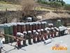 Villafranca_2010_014_LaRosa.jpg