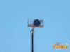 Villafranca_2010_027_LaRosa.jpg