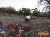 Villafranca_2010_057_Vaccalluzzo.jpg