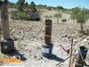 Villafranca_2010_080_Calamita_diurno.jpg