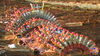 Filename=La_Rosa_02.jpg
Filesize=182KB
Dimensions=1024x576
Date added=Aug 02, 2008 La_Rosa_02.jpg