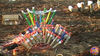 Filename=La_Rosa_04.jpg
Filesize=175KB
Dimensions=1024x576
Date added=Aug 02, 2008 La_Rosa_04.jpg