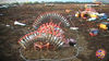 Filename=La_Rosa_09.jpg
Filesize=167KB
Dimensions=1024x576
Date added=Aug 02, 2008 La_Rosa_09.jpg