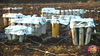 Filename=La_Rosa_10.jpg
Filesize=159KB
Dimensions=1024x576
Date added=Aug 02, 2008 La_Rosa_10.jpg