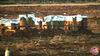 Filename=La_Rosa_11.jpg
Filesize=151KB
Dimensions=1024x576
Date added=Aug 02, 2008 La_Rosa_11.jpg