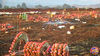 Filename=La_Rosa_20.jpg
Filesize=168KB
Dimensions=1024x576
Date added=Aug 02, 2008 La_Rosa_20.jpg