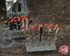 Filename=Magic_Stars_02.jpg
Filesize=103KB
Dimensions=720x576
Date added=Aug 02, 2008 Magic_Stars_02.jpg