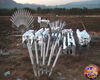 Filename=Magic_Stars_07.jpg
Filesize=111KB
Dimensions=720x576
Date added=Aug 02, 2008 Magic_Stars_07.jpg