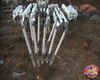 Filename=Magic_Stars_08.jpg
Filesize=109KB
Dimensions=720x576
Date added=Aug 02, 2008 Magic_Stars_08.jpg