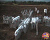 Filename=Magic_Stars_09.jpg
Filesize=102KB
Dimensions=720x576
Date added=Aug 02, 2008 Magic_Stars_09.jpg