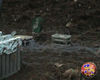 Filename=Magic_Stars_11.jpg
Filesize=91KB
Dimensions=720x576
Date added=Aug 02, 2008 Magic_Stars_11.jpg