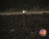 Filename=Magic_Stars_16.jpg
Filesize=75KB
Dimensions=720x576
Date added=Aug 02, 2008 Magic_Stars_16.jpg