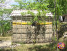 Di_Candia_46.jpg