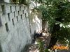 Romano_022.jpg